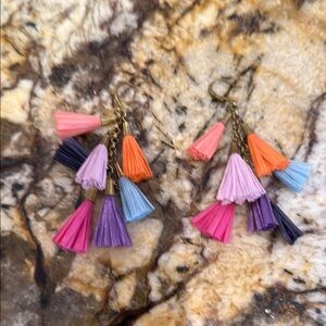 Colorful Tassel Earrings